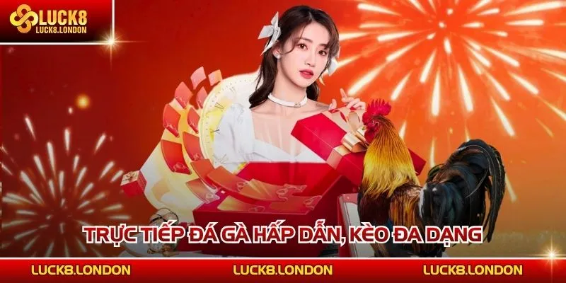Trực tiếp đá gà hấp dẫn, kèo đa dạng